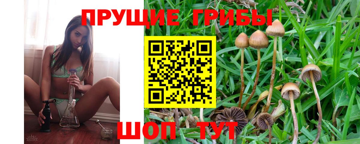 Зима  Псилоцибиновые грибы Magic Shrooms  Вход с VPN 