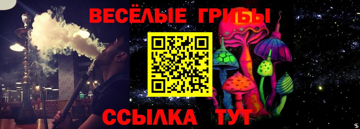 Галлюциногенные грибы ЛСД Зима